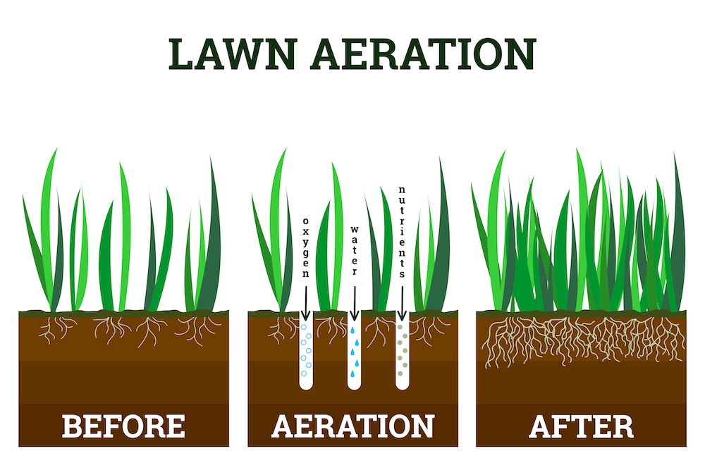 Lawn grass care, gardening service, benefits of aeration. Water, air and fertilizer having easy access to soil.